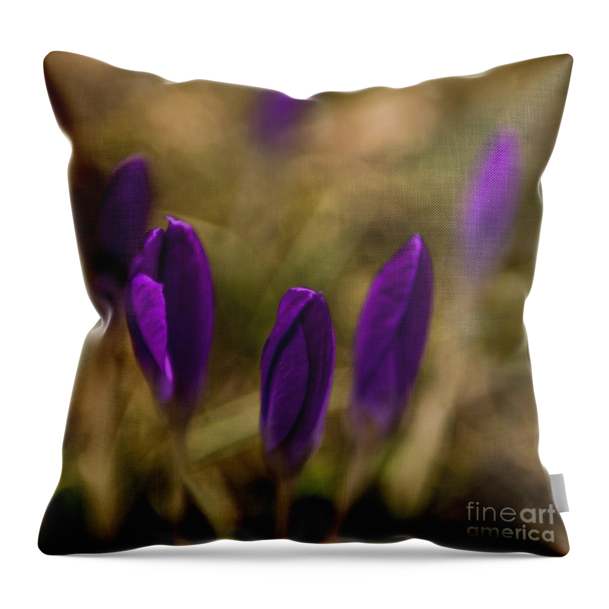 1x1 Throw Pillow featuring the photograph crocus II - sun by Hannes Cmarits