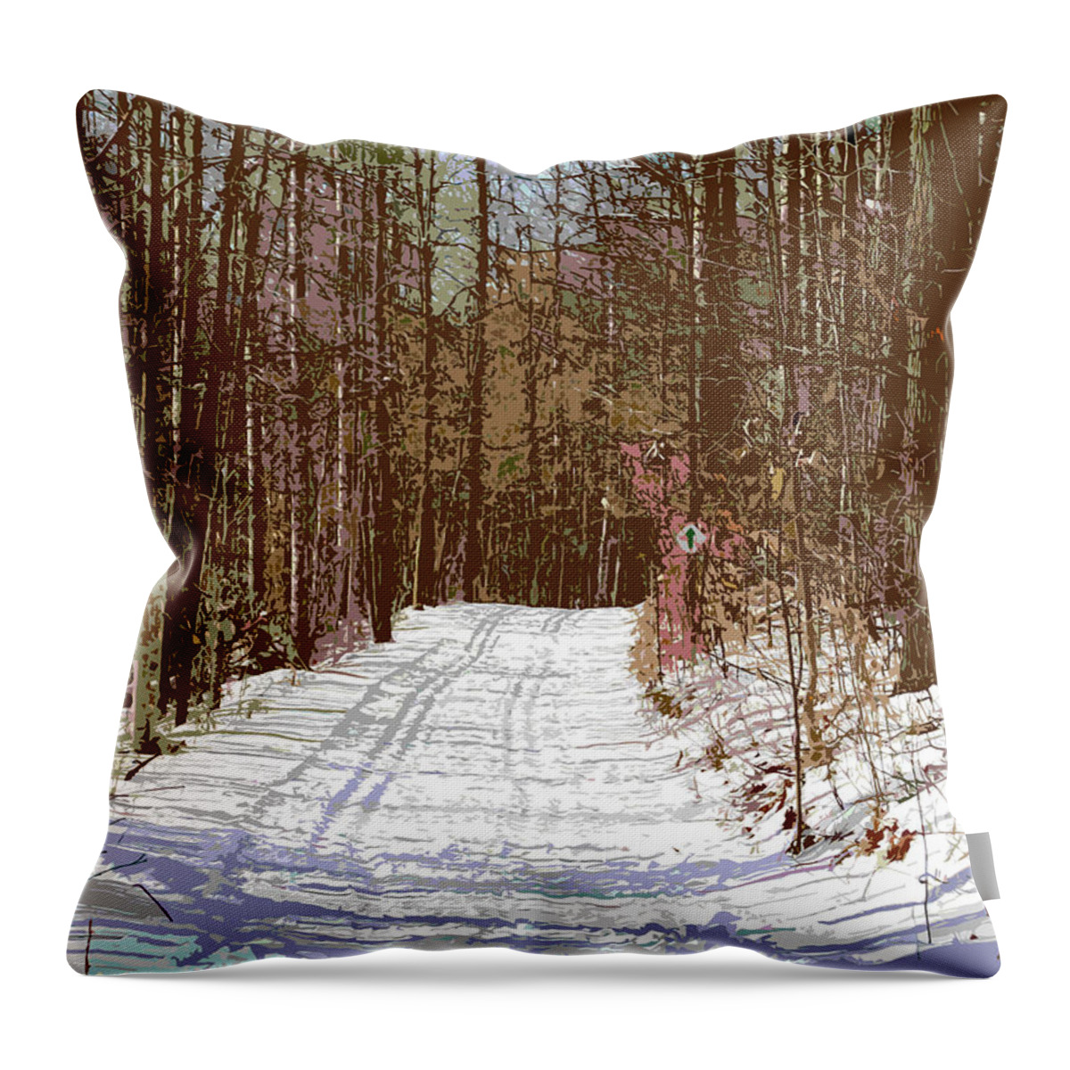 Winter Throw Pillow featuring the photograph Cross Country Trail by Nina Silver