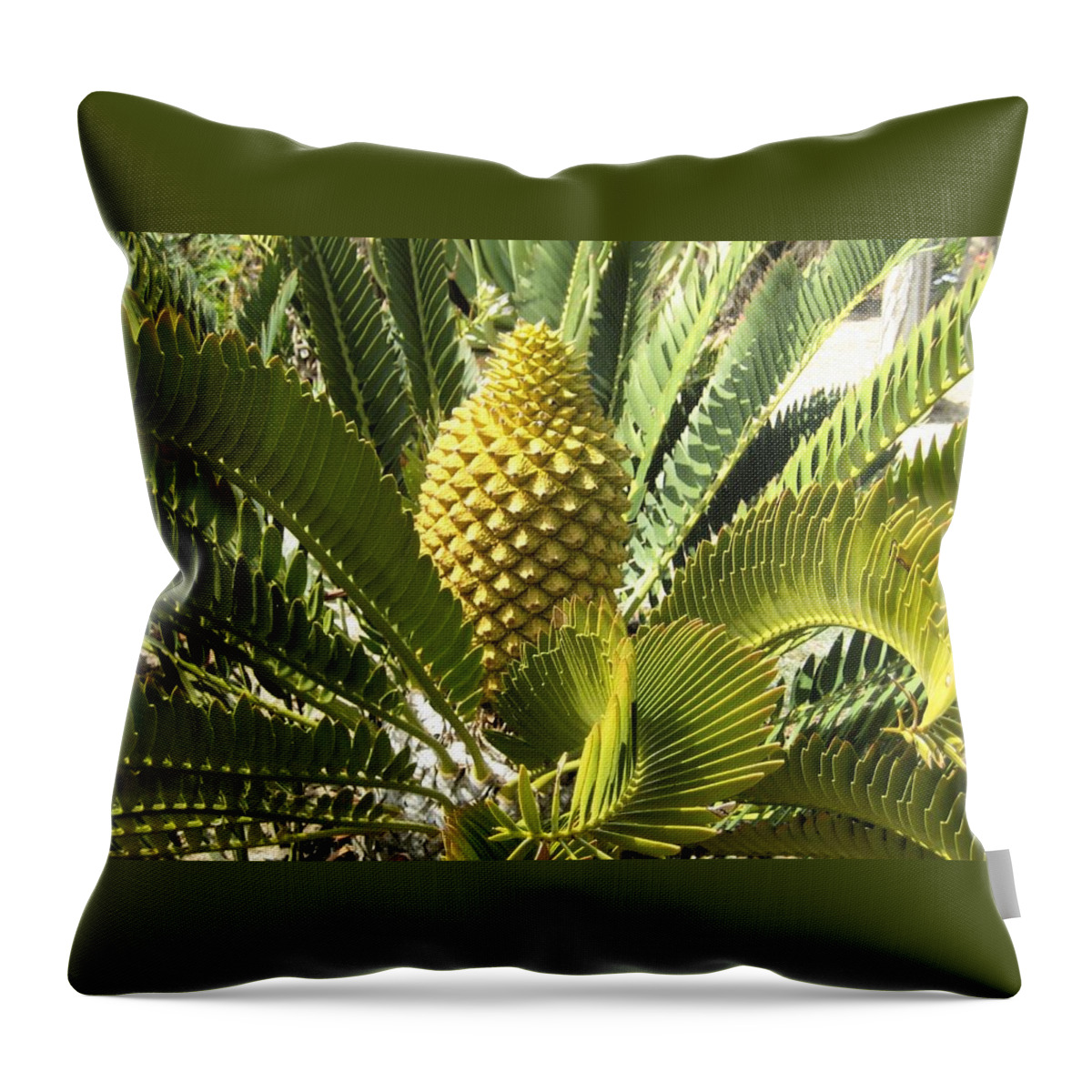 Nature Throw Pillow featuring the photograph Crowning Glory by Melissa McCrann