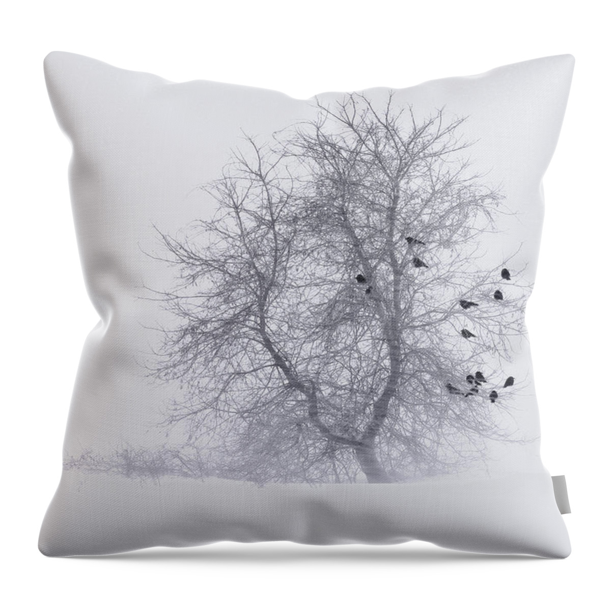 Nature Throw Pillow featuring the photograph Crows on Tree in WInter Snow Storm by Peter V Quenter