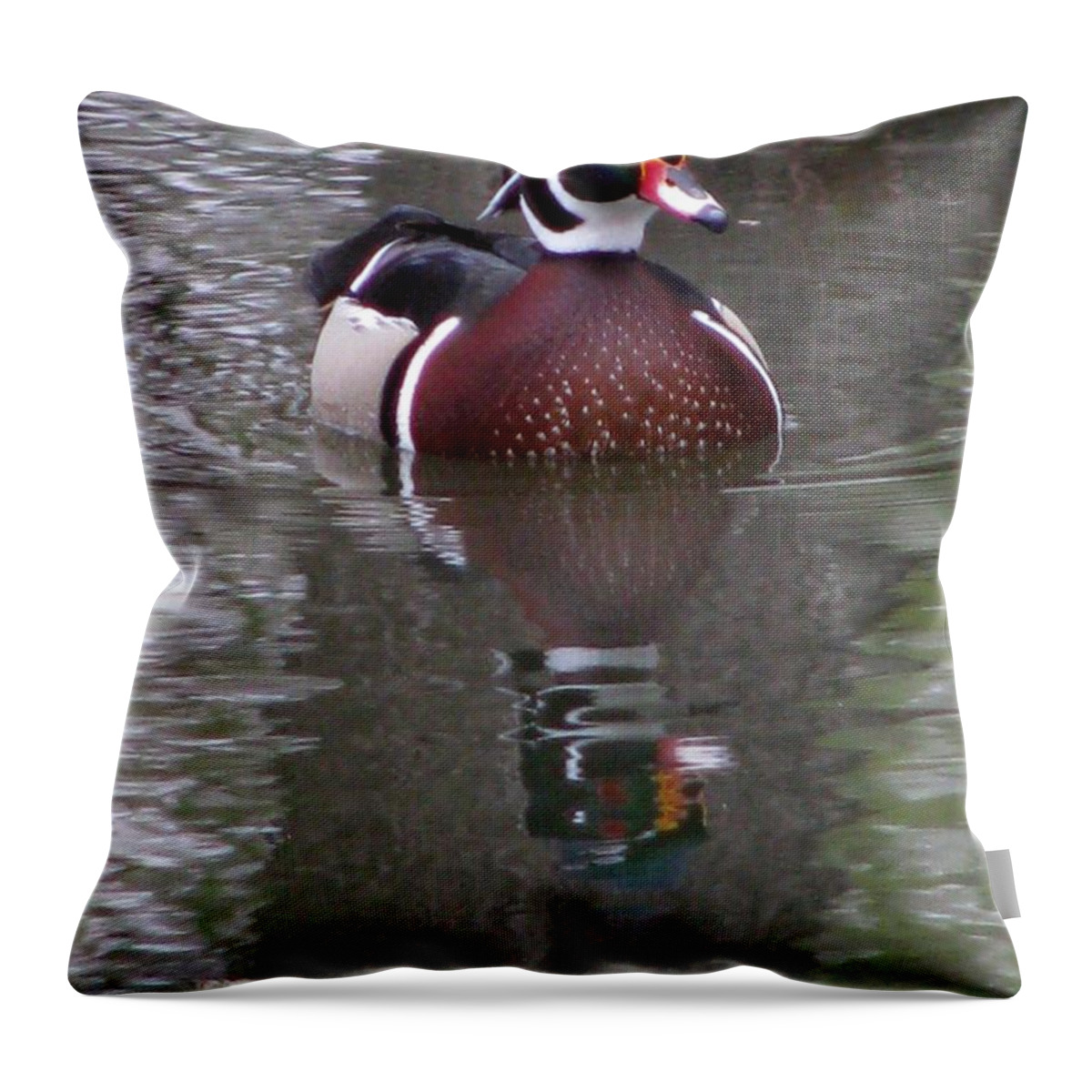 Duck Throw Pillow featuring the photograph Cruisin' by Pamela Critchlow