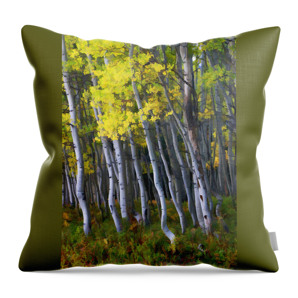 Wall Art Throw Pillow featuring the photograph Crested Butte Aspen Grove by Allen Beatty