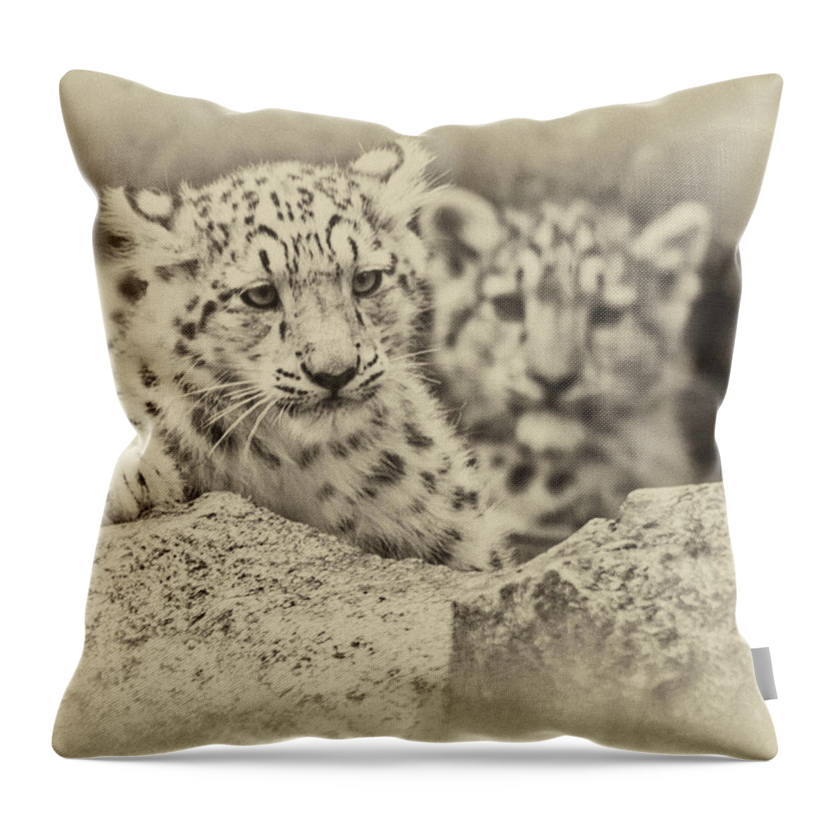 Marwell Throw Pillow featuring the photograph Cubs at Play by Chris Boulton