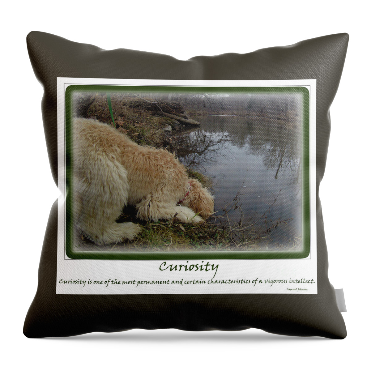Multi- Generational Labradoodle Throw Pillow featuring the photograph Curiosity of a Puppy by Sandra Clark