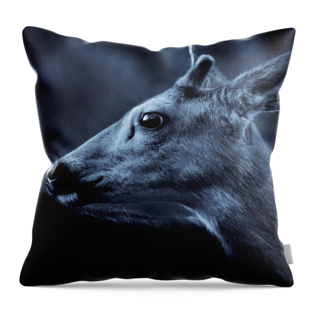 Deer Throw Pillow featuring the photograph Curious by Adria Trail