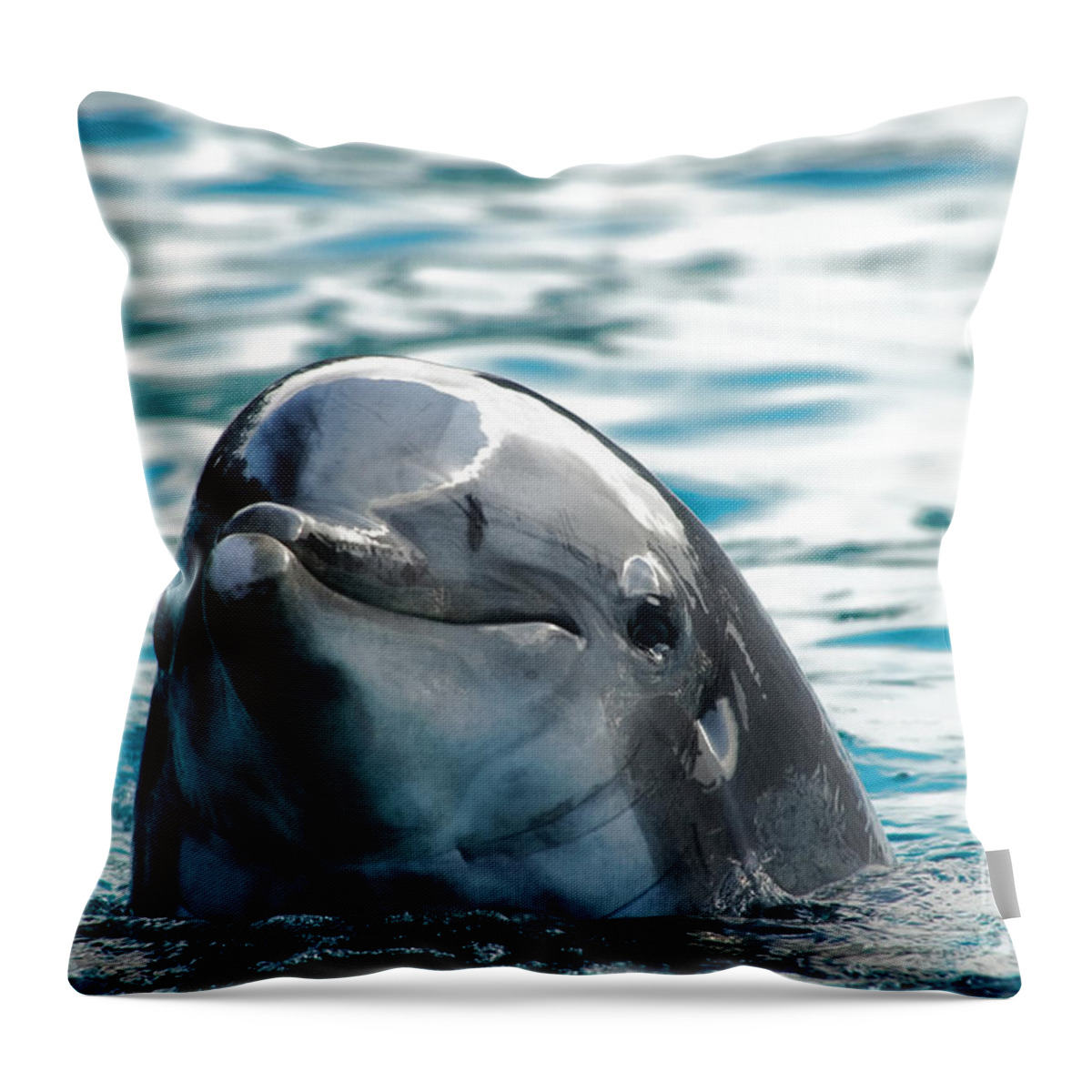 Dolphin Throw Pillow featuring the photograph Curious dolphin by Mariola Bitner