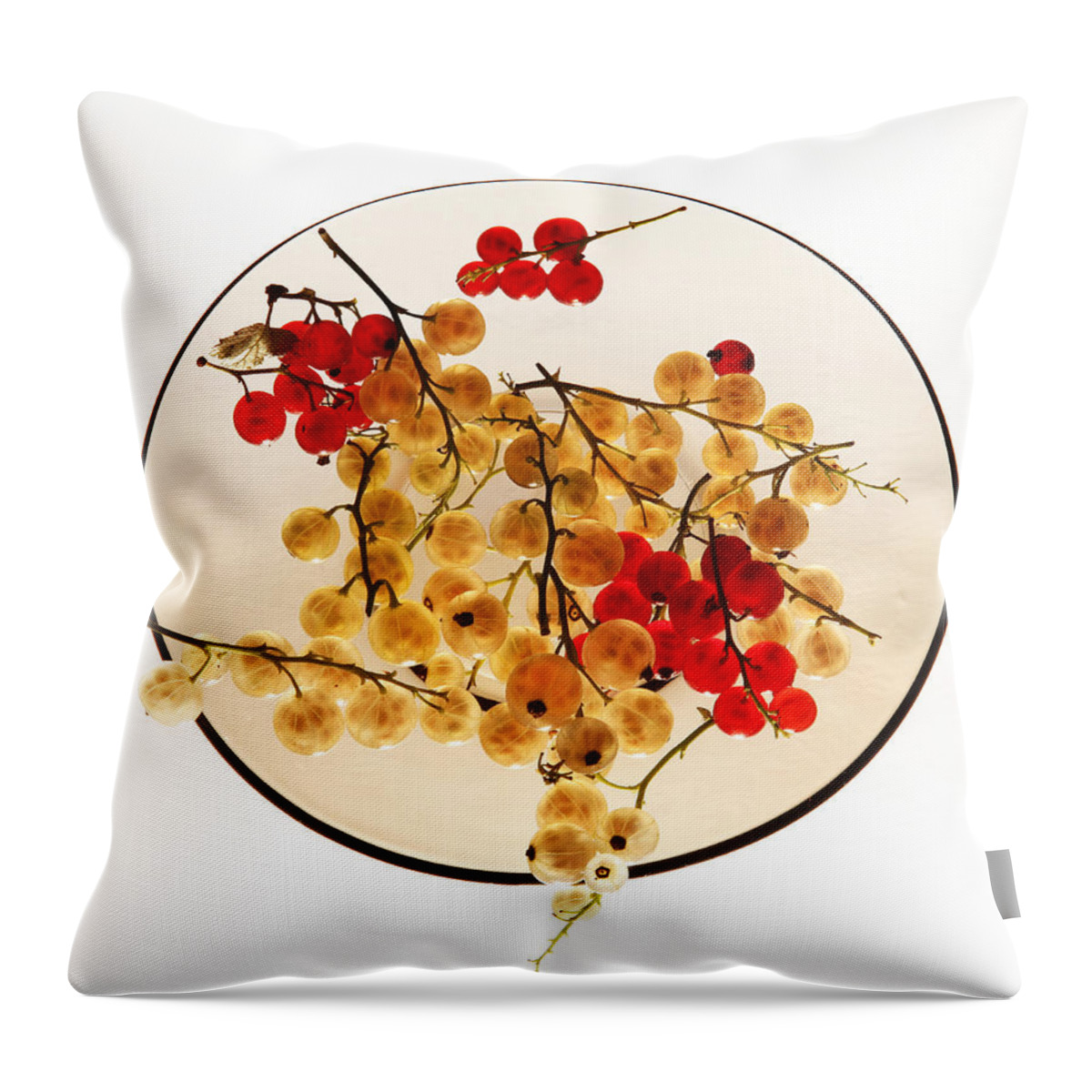 Berry Throw Pillow featuring the photograph Currants on a plate by Vitaliy Gladkiy