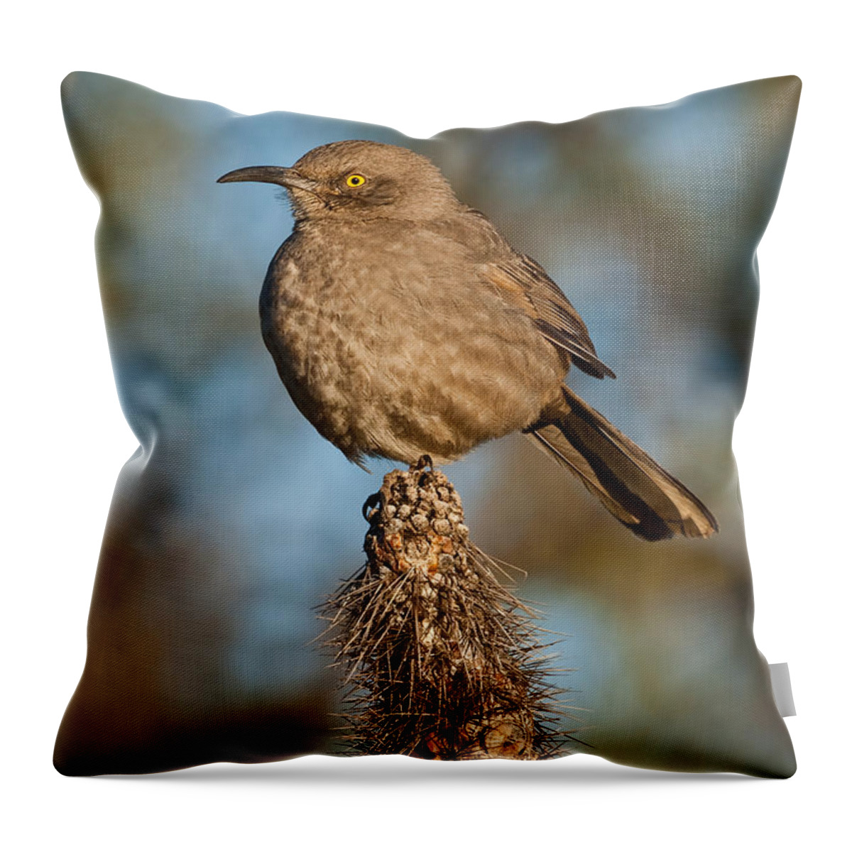 Animal Throw Pillow featuring the photograph Curve-Billed Thrasher on a Cactus by Jeff Goulden