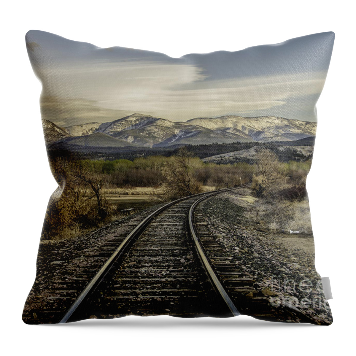 Beauty In Nature Throw Pillow featuring the photograph Curve in the Tracks by Sue Smith
