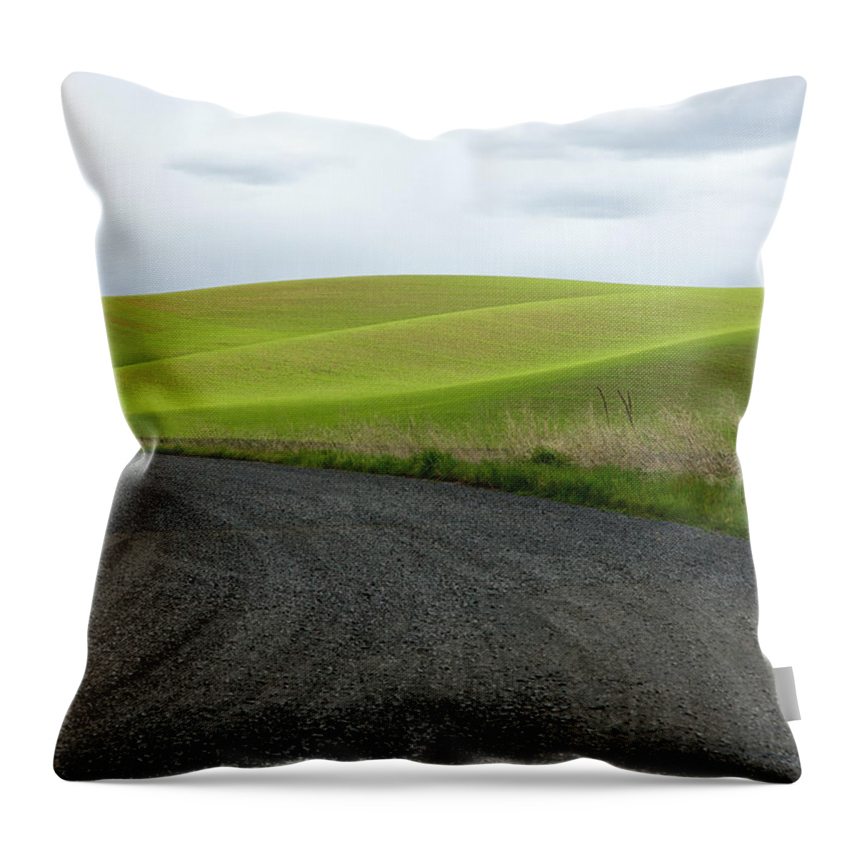 Palouse Throw Pillow featuring the photograph Curves Ahead by Mary Lee Dereske