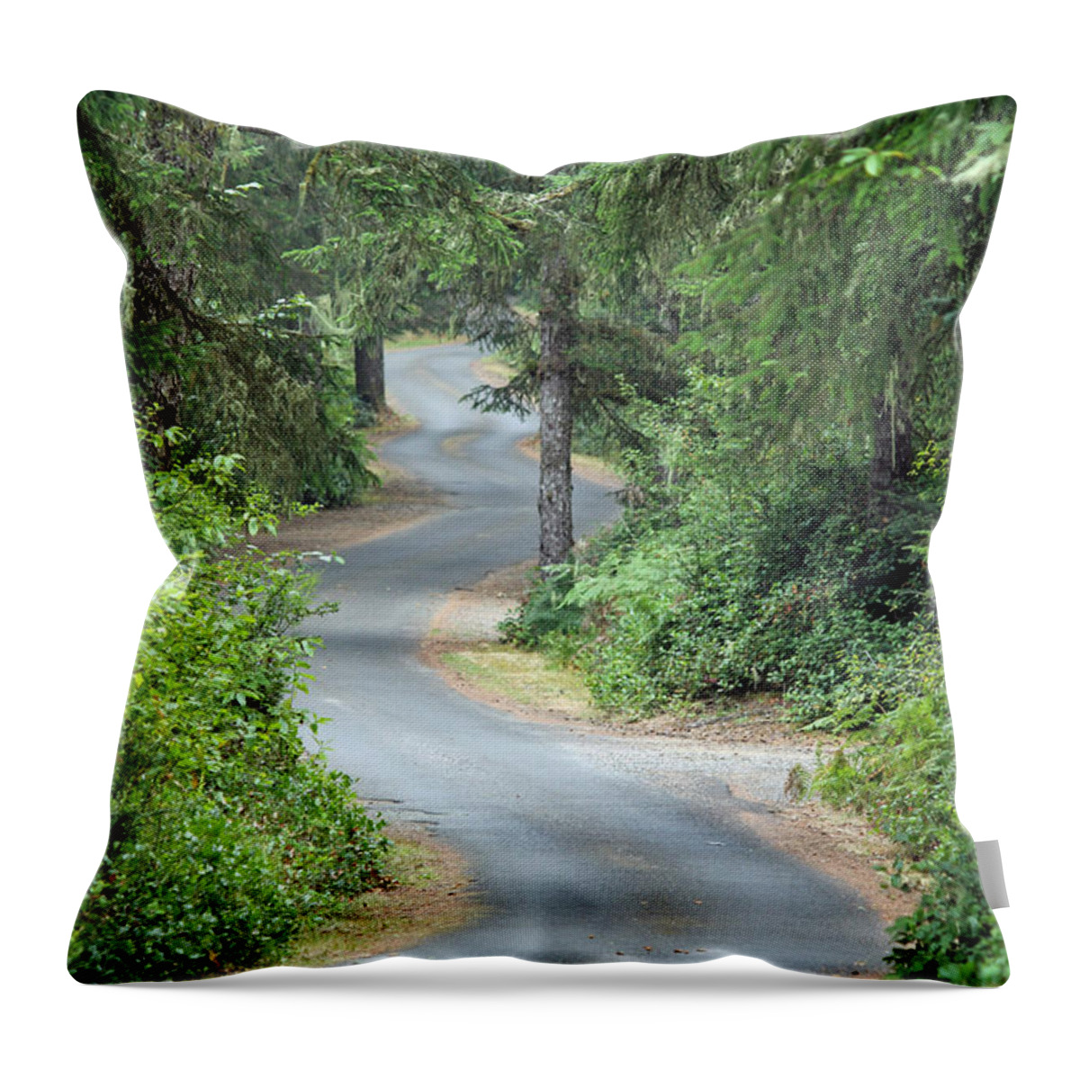 Trees Throw Pillow featuring the photograph Curves into Leadbetter Point State Park II by E Faithe Lester