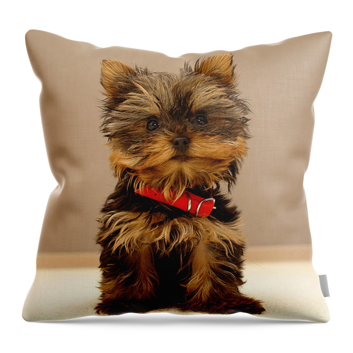 Dog Paintings Throw Pillow featuring the mixed media Cute Terrier Puppy by Marvin Blaine