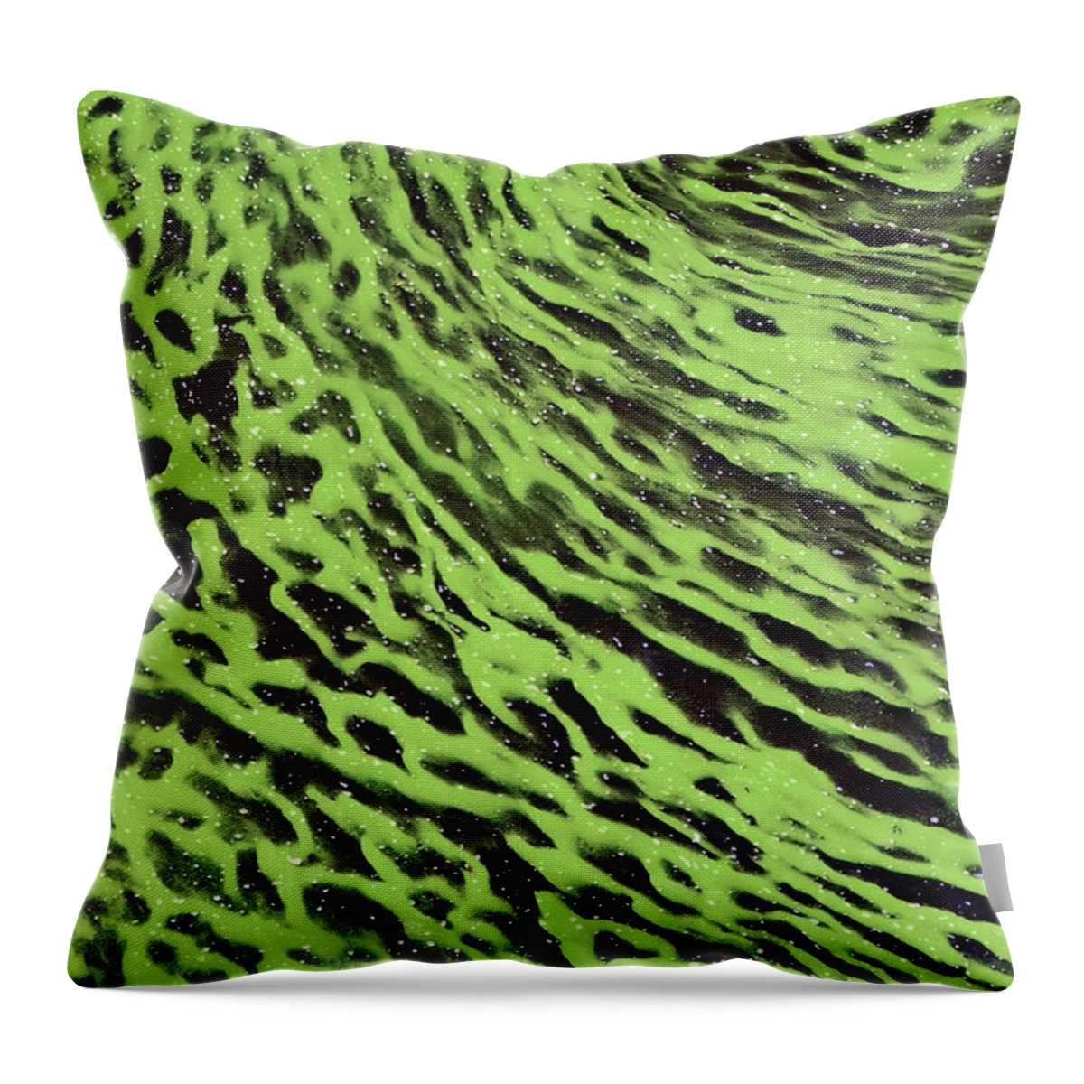 Algae Mats Throw Pillow featuring the photograph Cyanobacteria Bloom by Charles Angelo