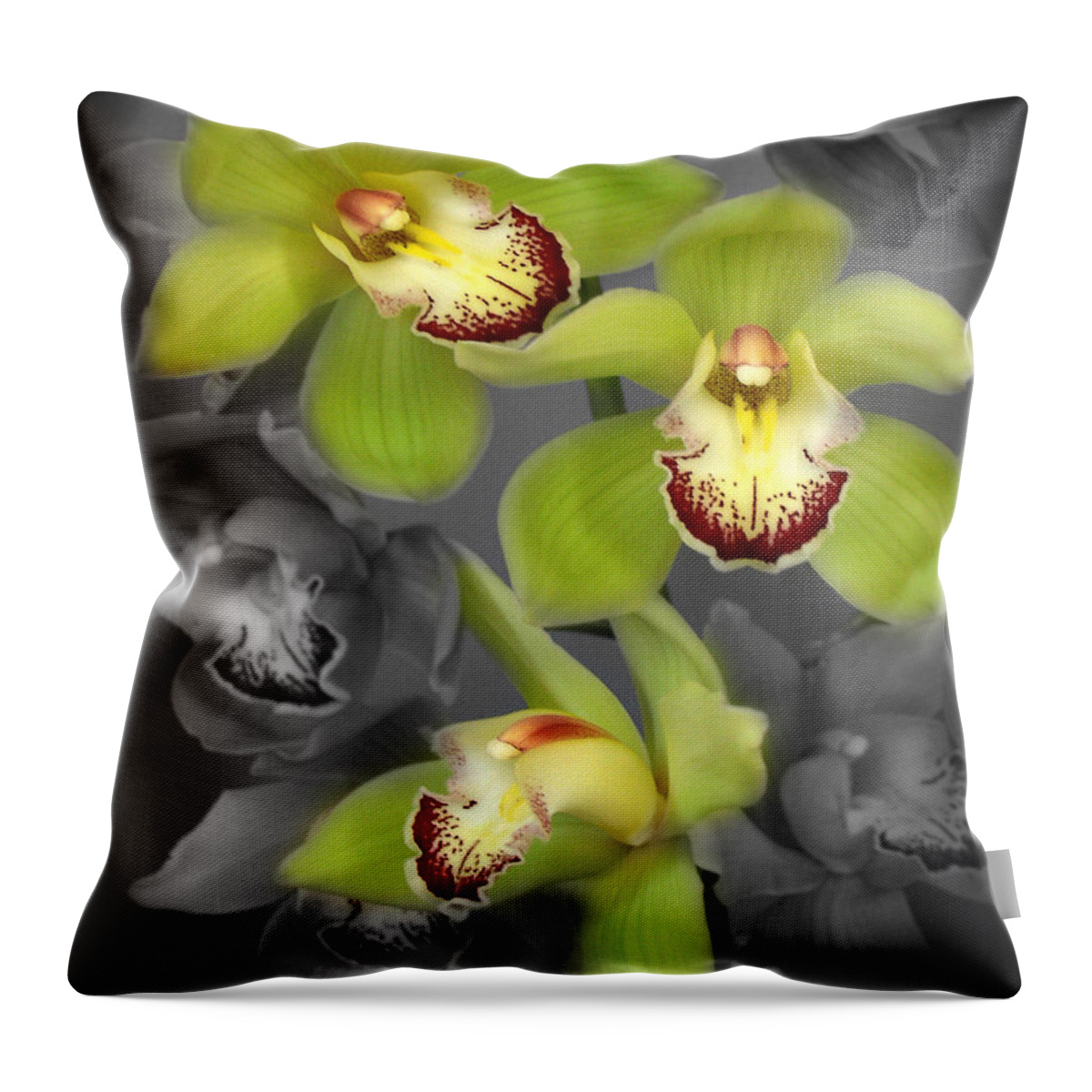 Flowers Throw Pillow featuring the photograph Cymbidium Orchid Green I Still Life Flower Art Poster by Lily Malor