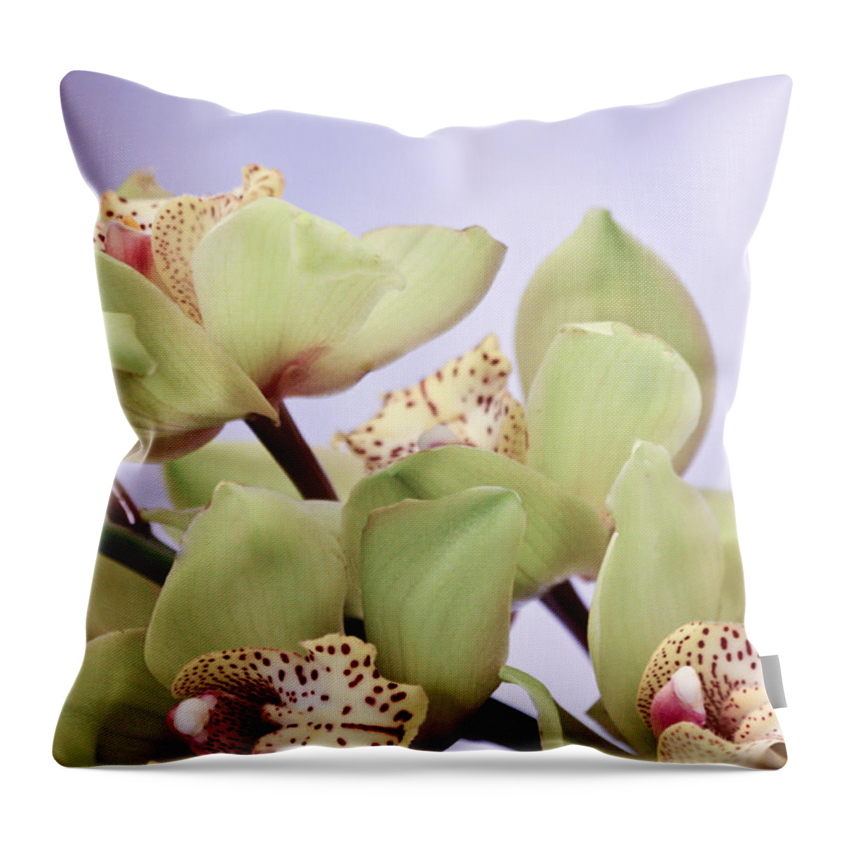 Cut-flowers Throw Pillow featuring the photograph Cymbidium Orchids by Ann Murphy