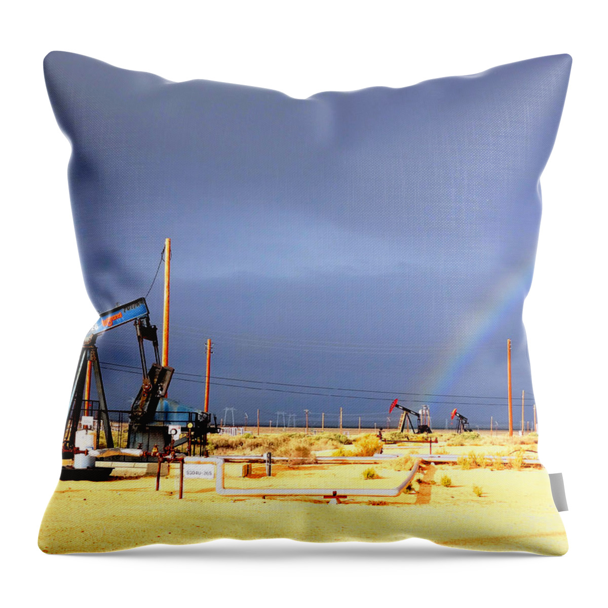 Cymric Field Throw Pillow featuring the photograph Cymric Field Rainbow by Lanita Williams