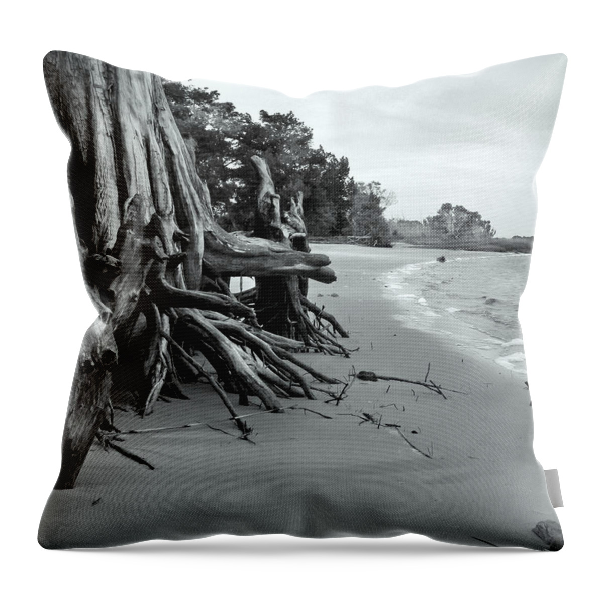 Landscape Throw Pillow featuring the photograph Cypress Bay by Deborah Smith