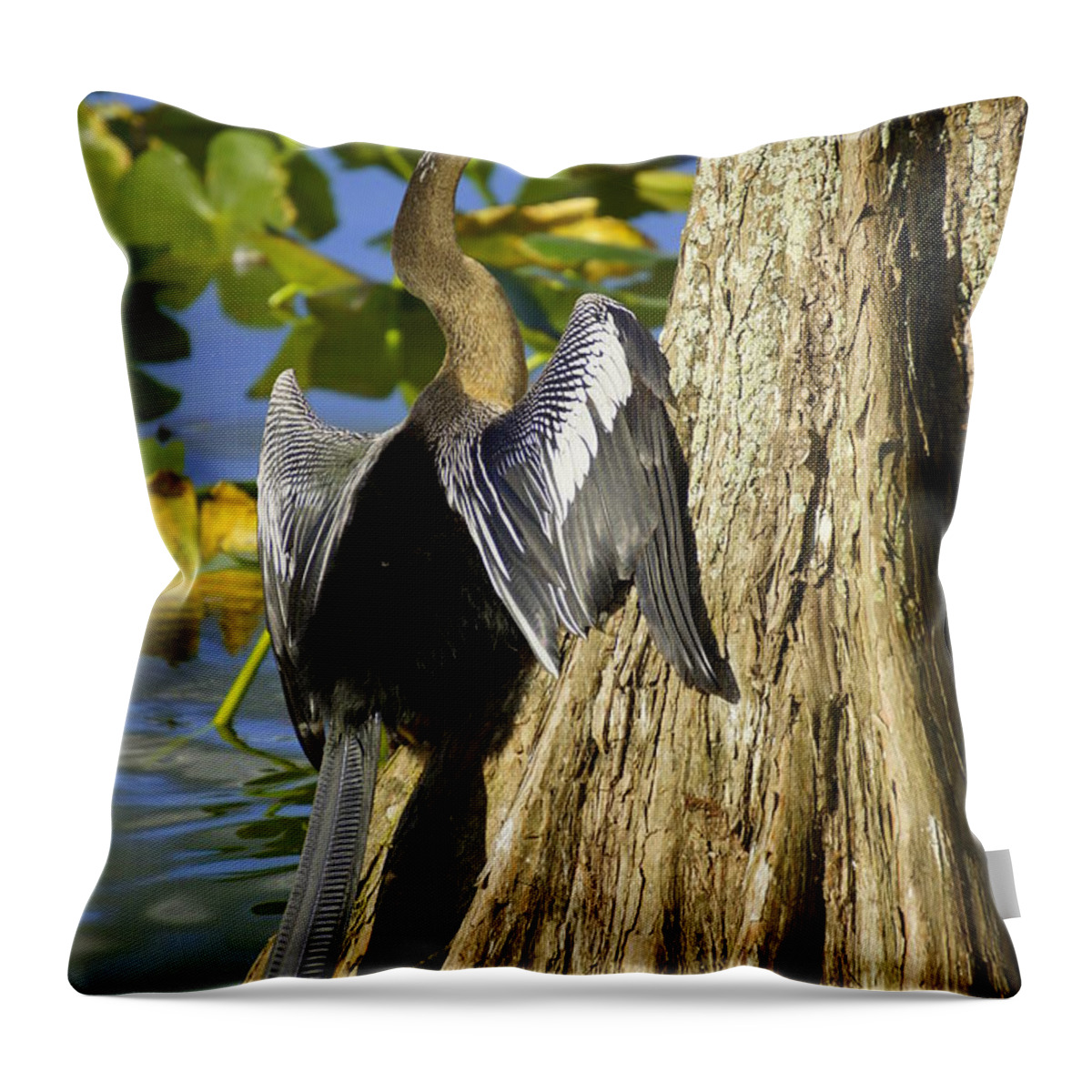 Ahninga Throw Pillow featuring the photograph Cypress Bird by Laurie Perry