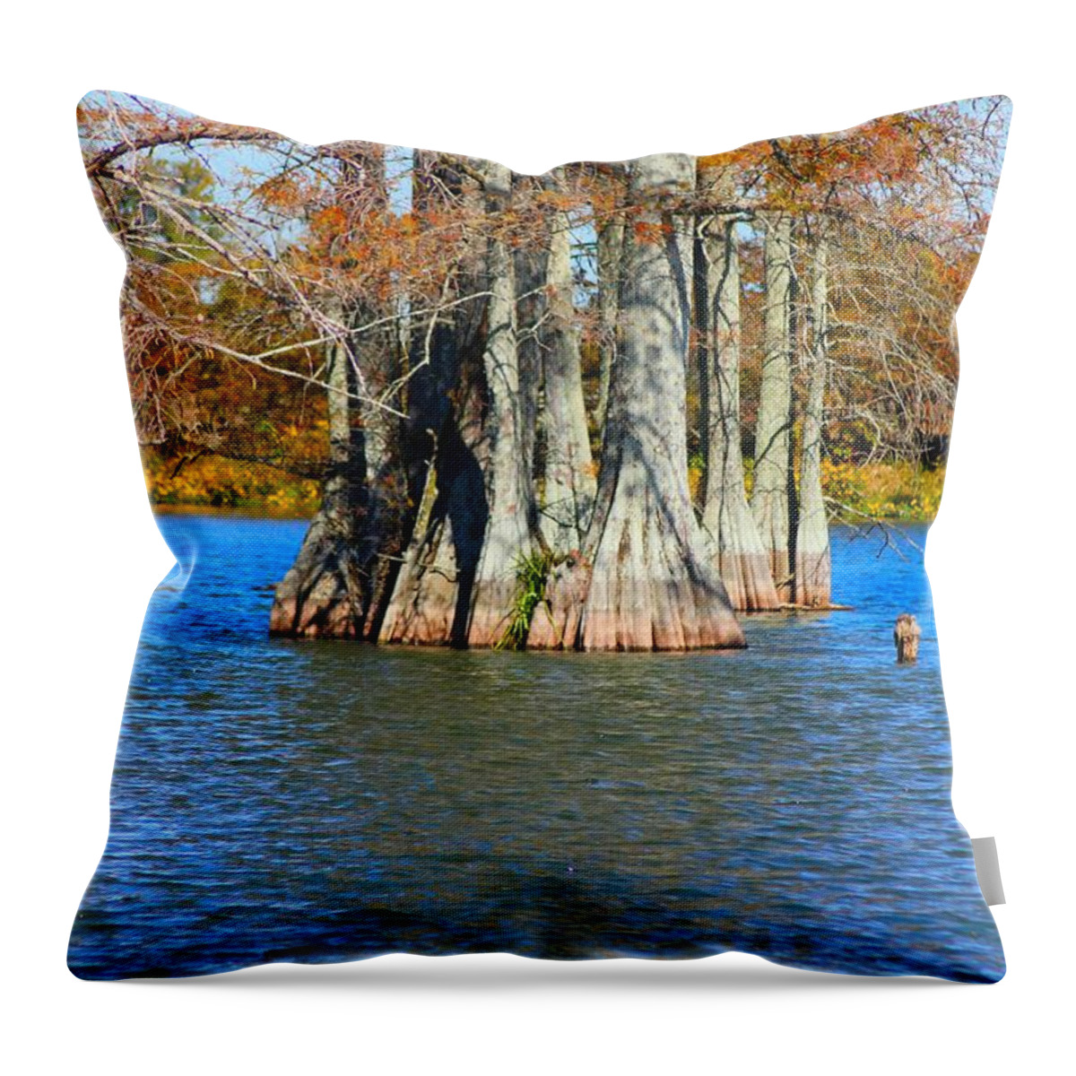 Water Throw Pillow featuring the photograph Cypress Birdhouse by Karen Wagner