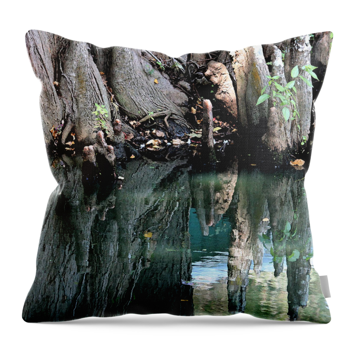 Swamp Throw Pillow featuring the photograph Cypress Swamp in Reflection by Suzanne Gaff