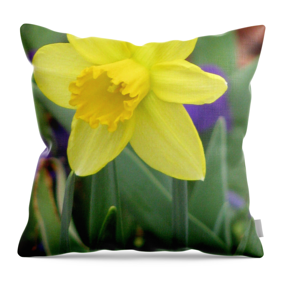 Daffodil Throw Pillow featuring the photograph Daffodil 15 by Pamela Critchlow