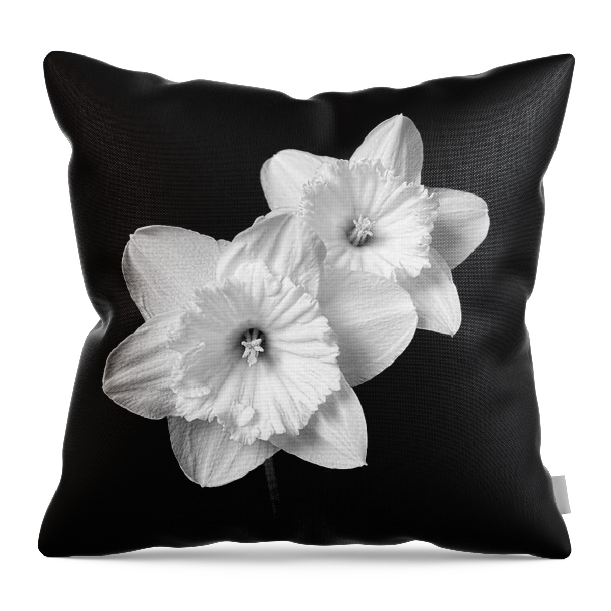 Daffodil Throw Pillow featuring the photograph Daffodil Flowers Black and White by Jennie Marie Schell