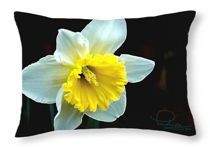Spring Throw Pillow featuring the photograph Daffodil by Ludwig Keck