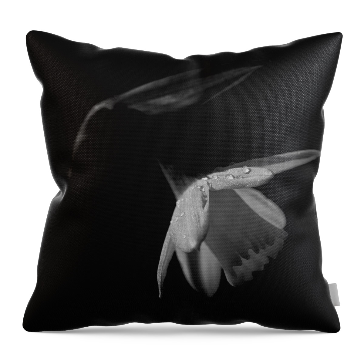 Daffodil Throw Pillow featuring the photograph Daffodil by Nigel R Bell