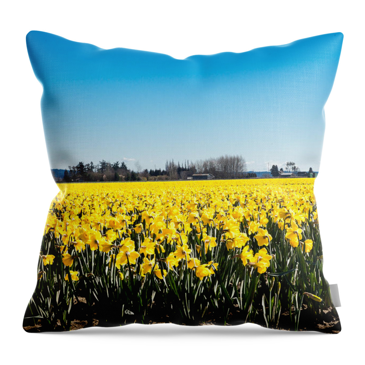 Washington Throw Pillow featuring the photograph Daffodils and Blue Skies by Judy Wright Lott