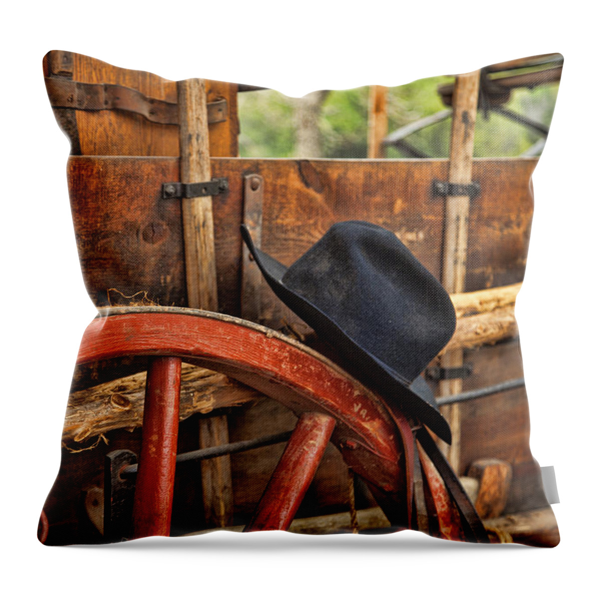 Oklahoma Throw Pillow featuring the photograph Dagnabbit where is my hat by Toni Hopper