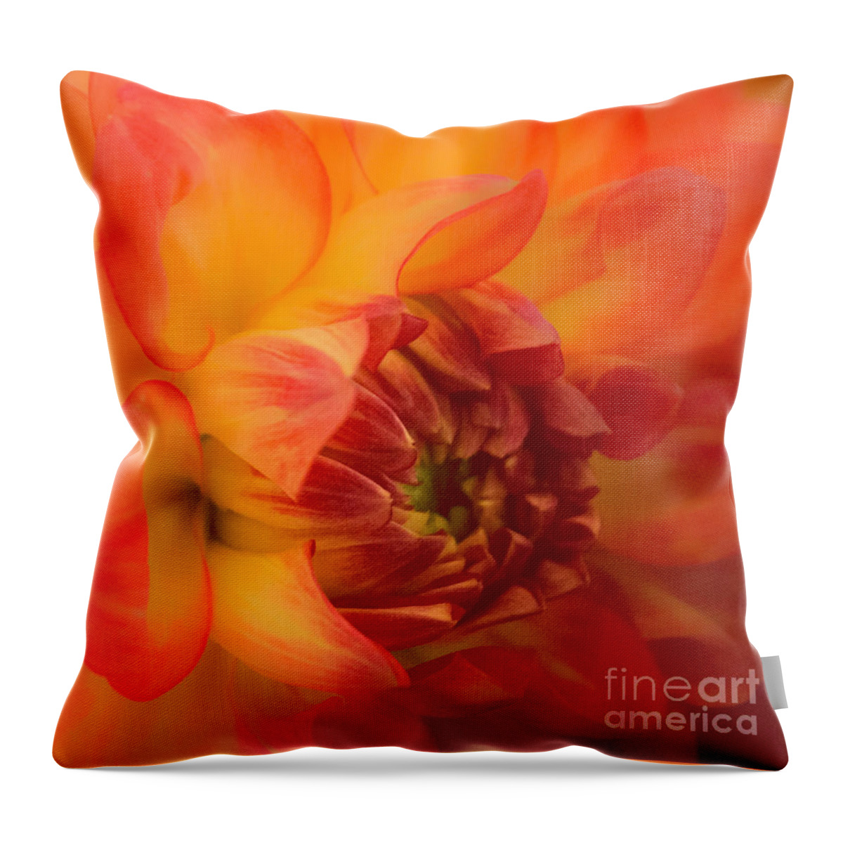 Florals Throw Pillow featuring the photograph Dahlia Dream by Arlene Carmel