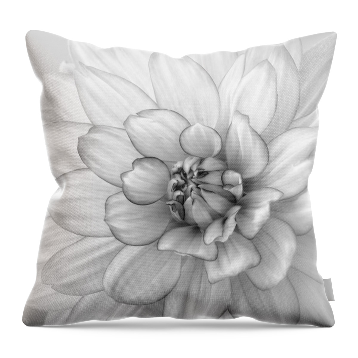 Dahlia Throw Pillow featuring the photograph Dahlia Flower Black and White by Kim Hojnacki