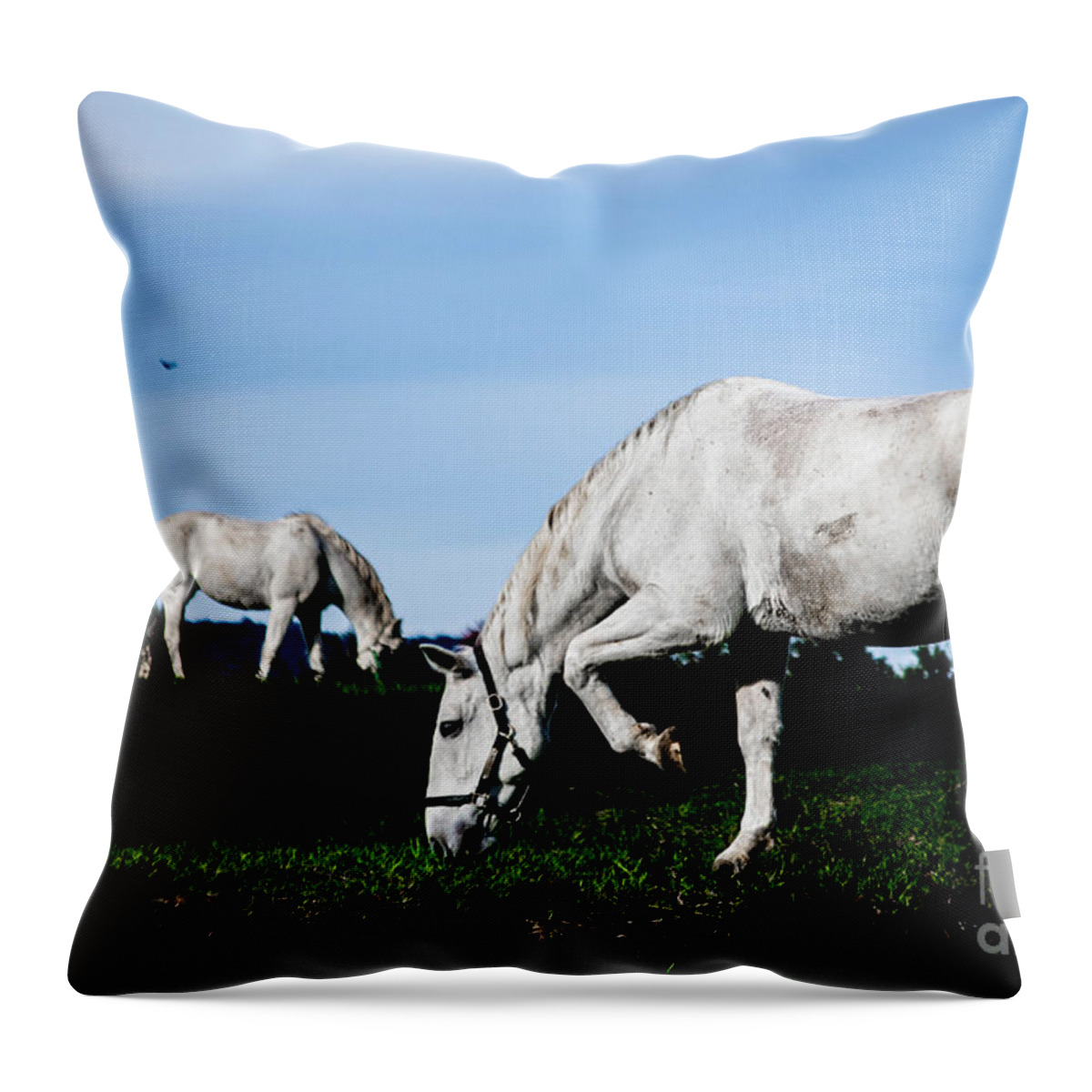 Horse Throw Pillow featuring the photograph Dainty by Carlee Ojeda