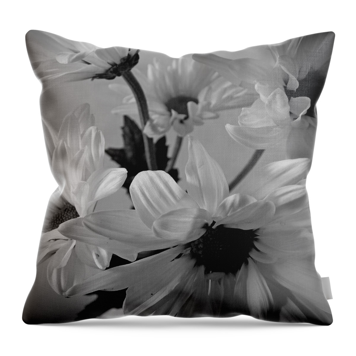 Flowers Throw Pillow featuring the photograph Daisies I Still Life Flower Art Poster by Lily Malor