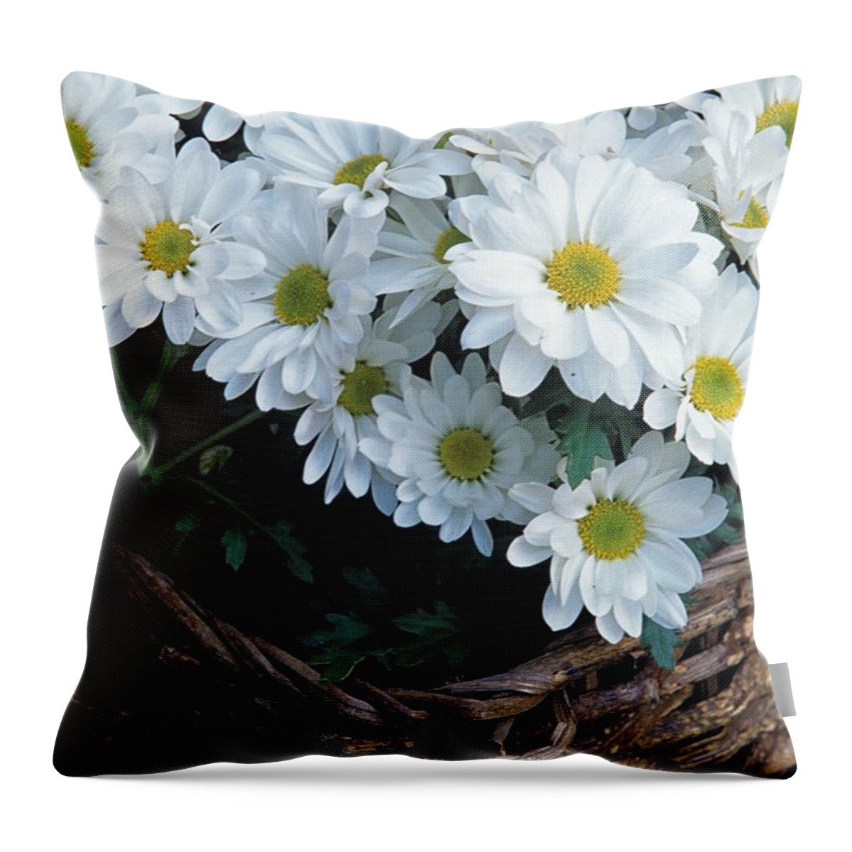 Daisy Throw Pillow featuring the photograph Daisies in a Basket by John Harmon