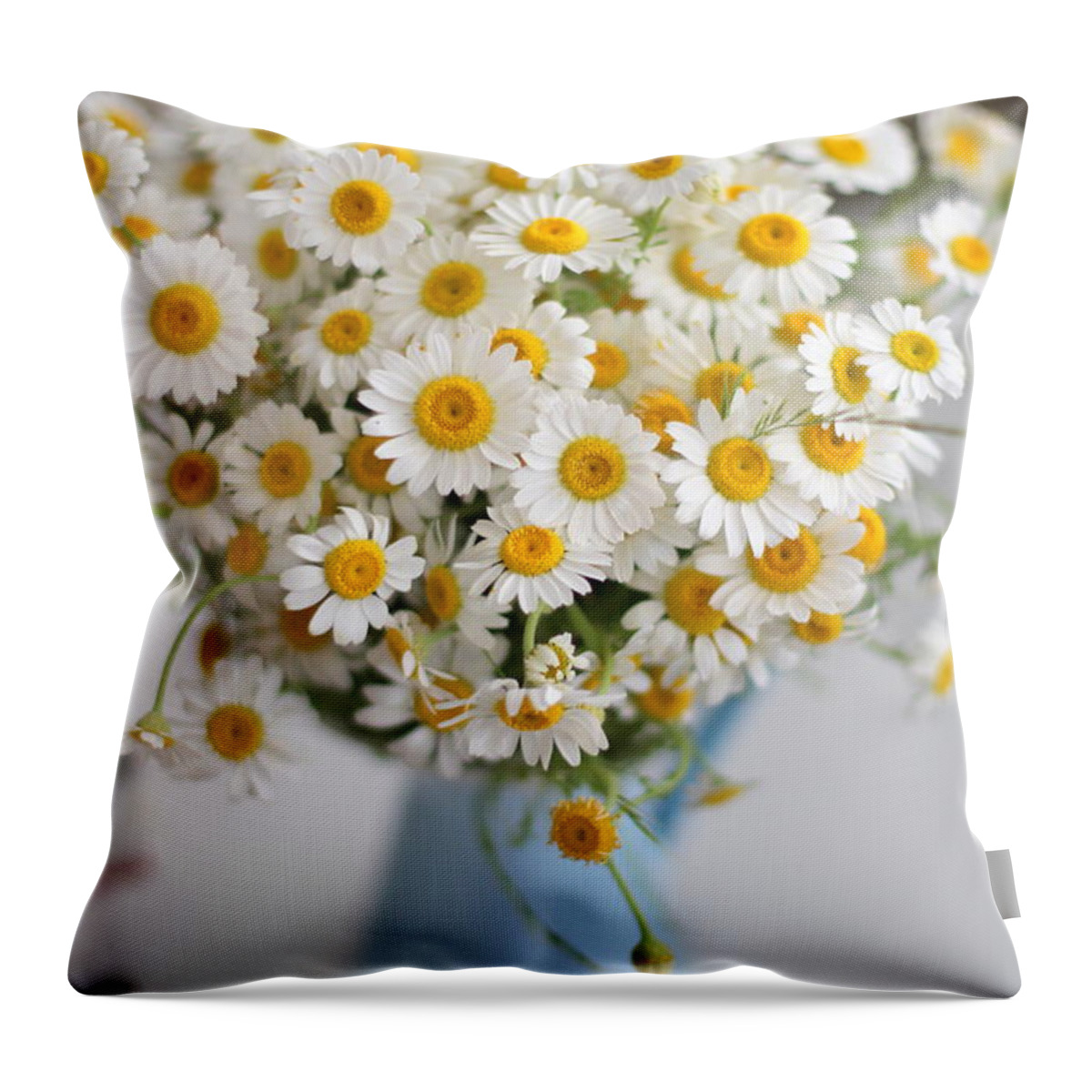Istanbul Throw Pillow featuring the photograph Daisies In Vase by Nohut Photography