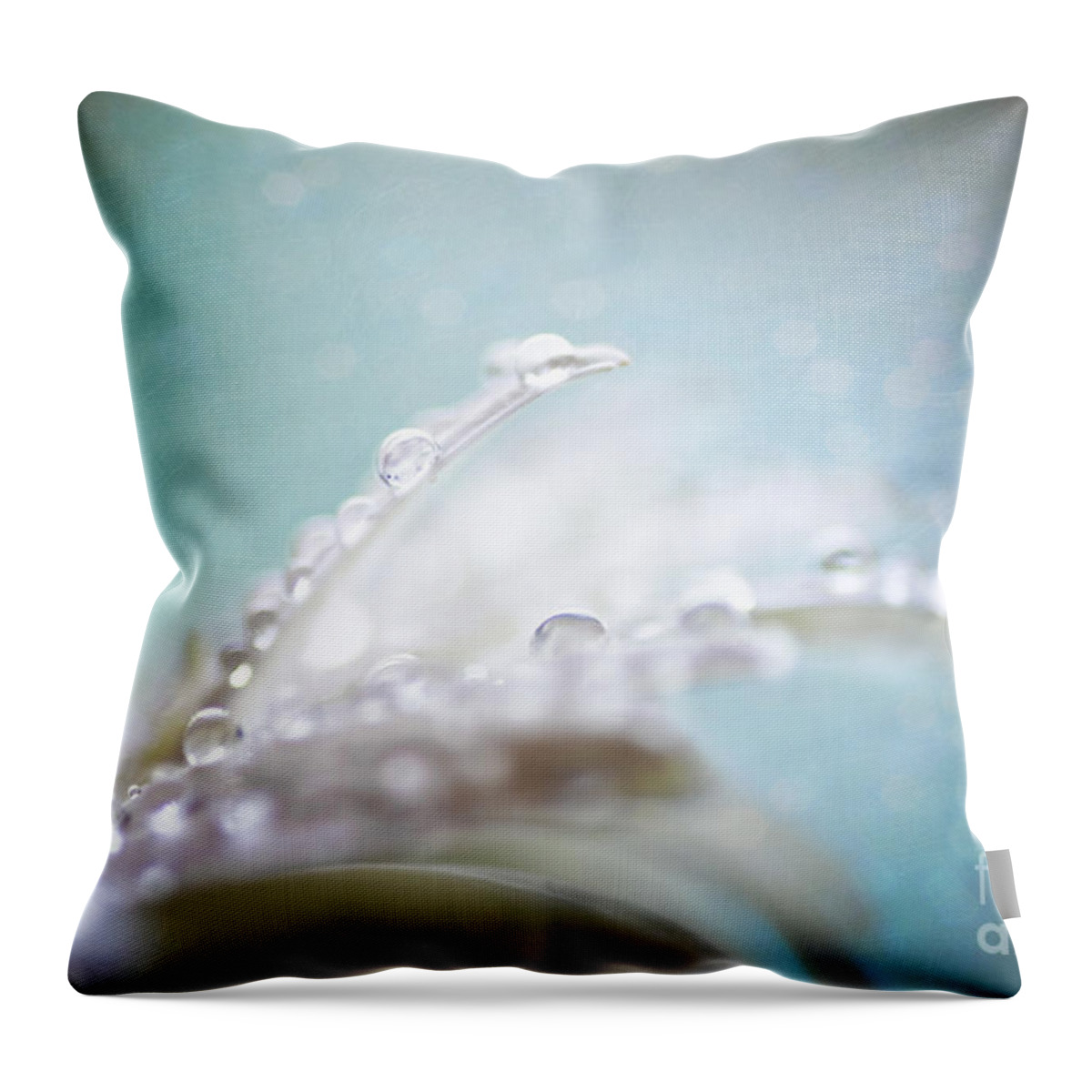 Daisy Throw Pillow featuring the photograph Daisy and waterdrops by Sylvia Cook