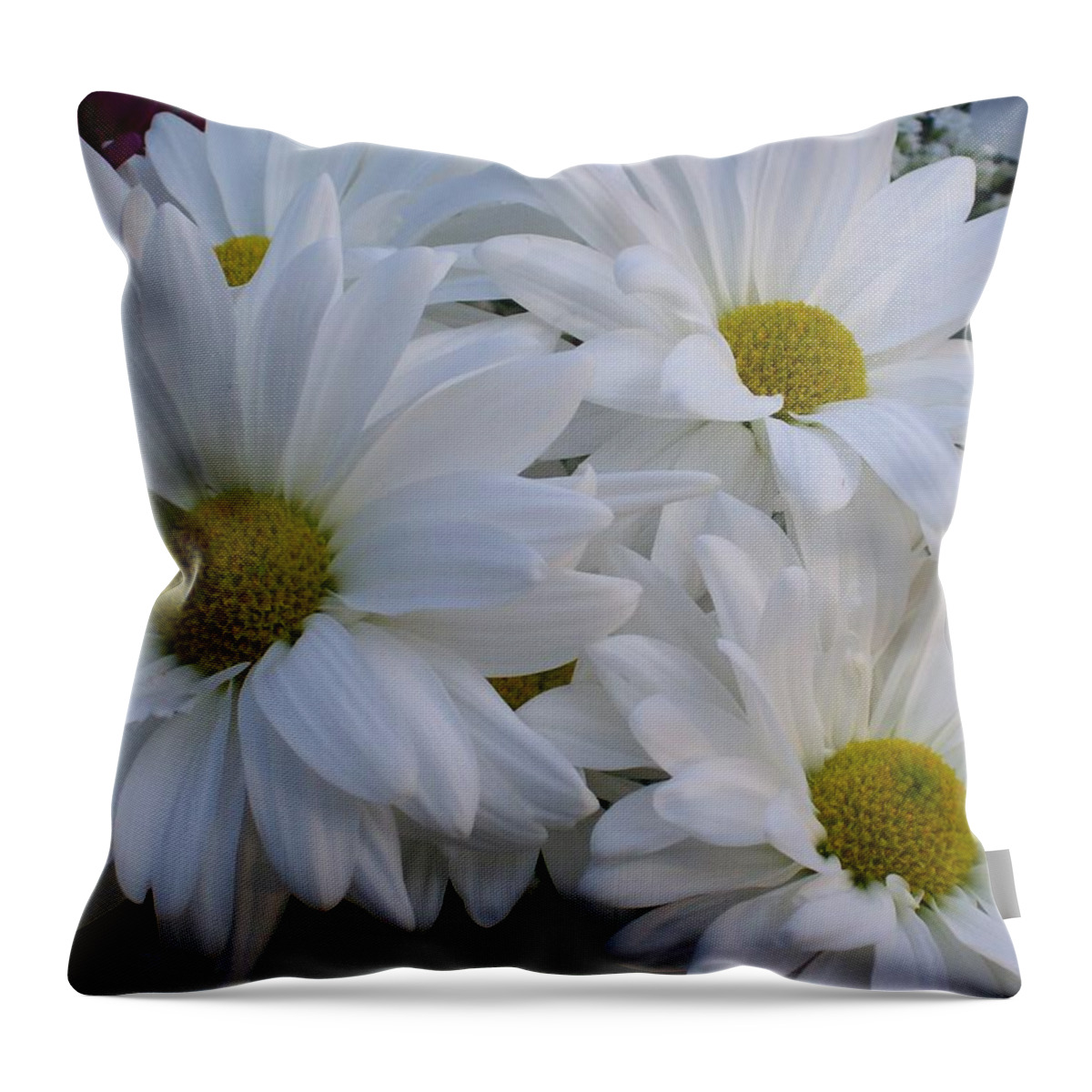 White Daisy Bouquet Throw Pillow featuring the photograph Daisy Bouquet by Belinda Lee
