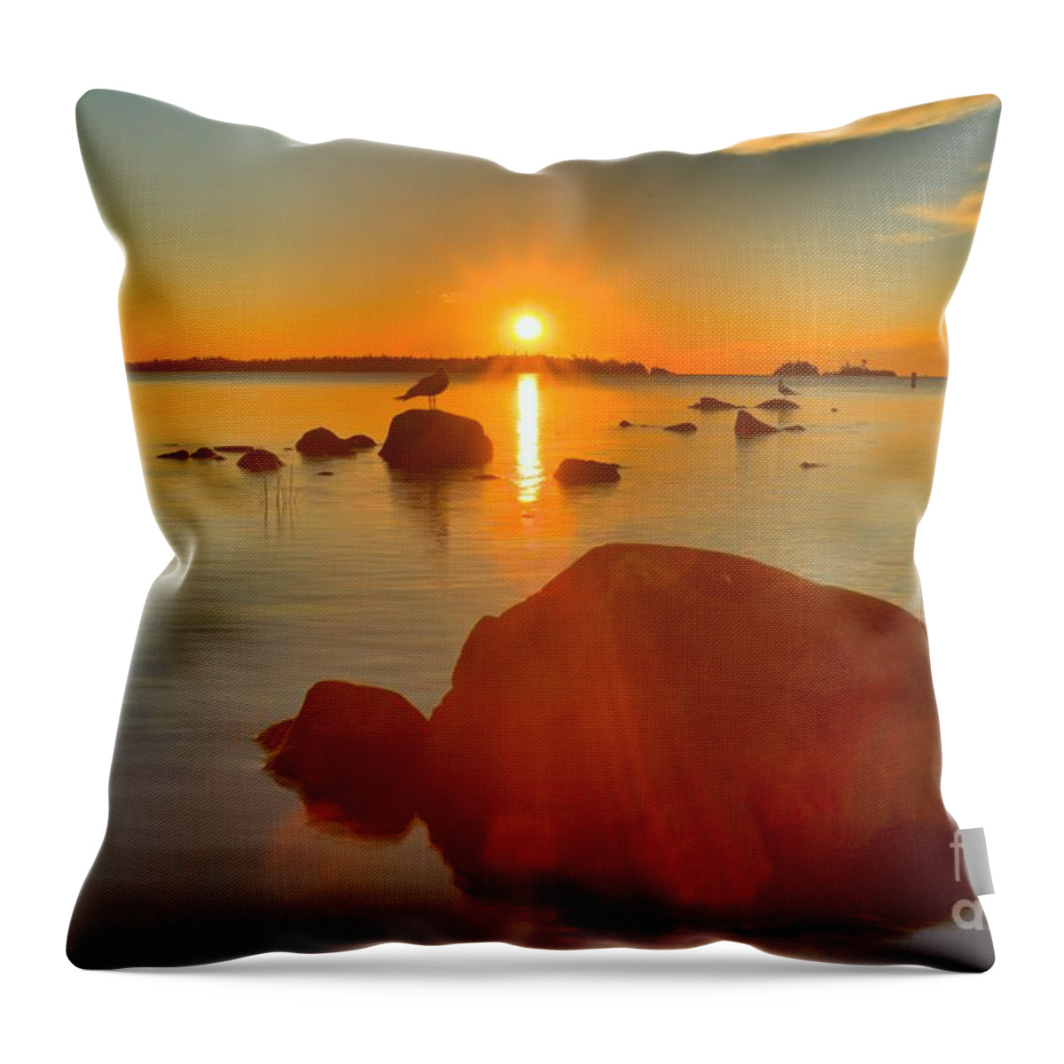 Isle Royale National Park Throw Pillow featuring the photograph Daisy Farm Sunrise by Adam Jewell