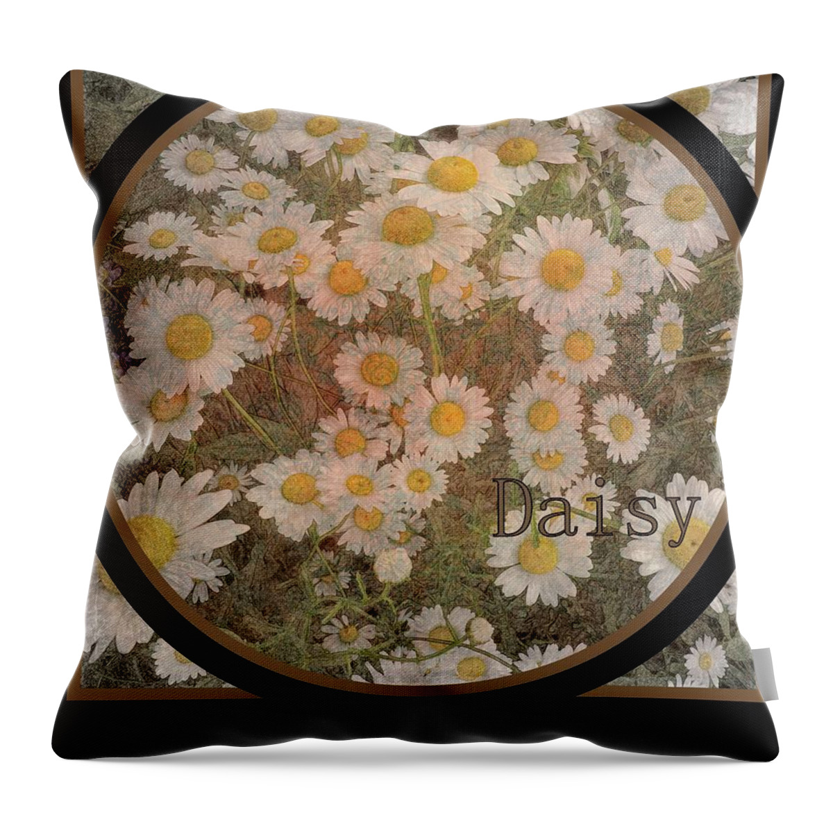 Floral Throw Pillow featuring the photograph Daisy by Jodie Marie Anne Richardson Traugott     aka jm-ART