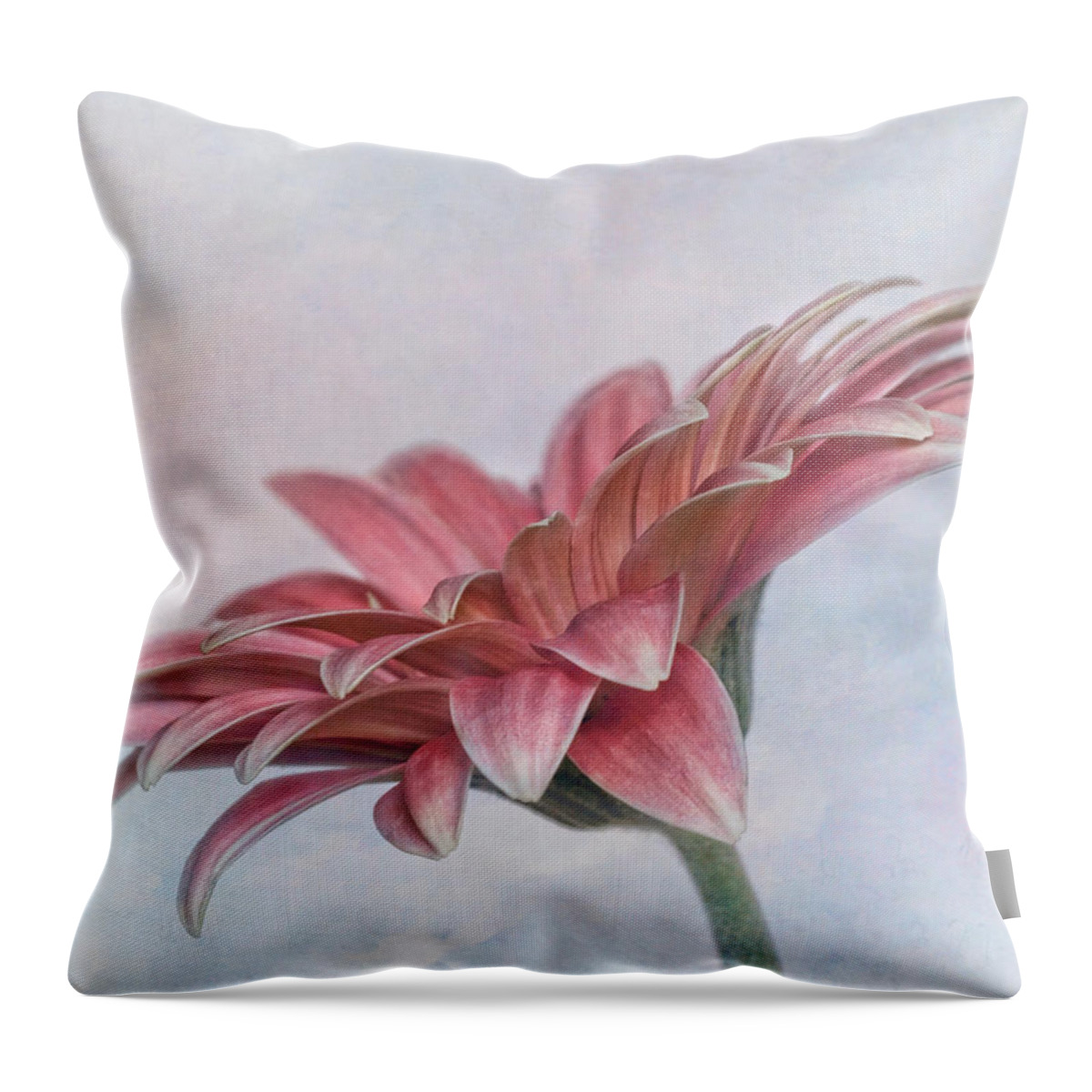 Bloom Throw Pillow featuring the photograph Daisy Profile by David and Carol Kelly