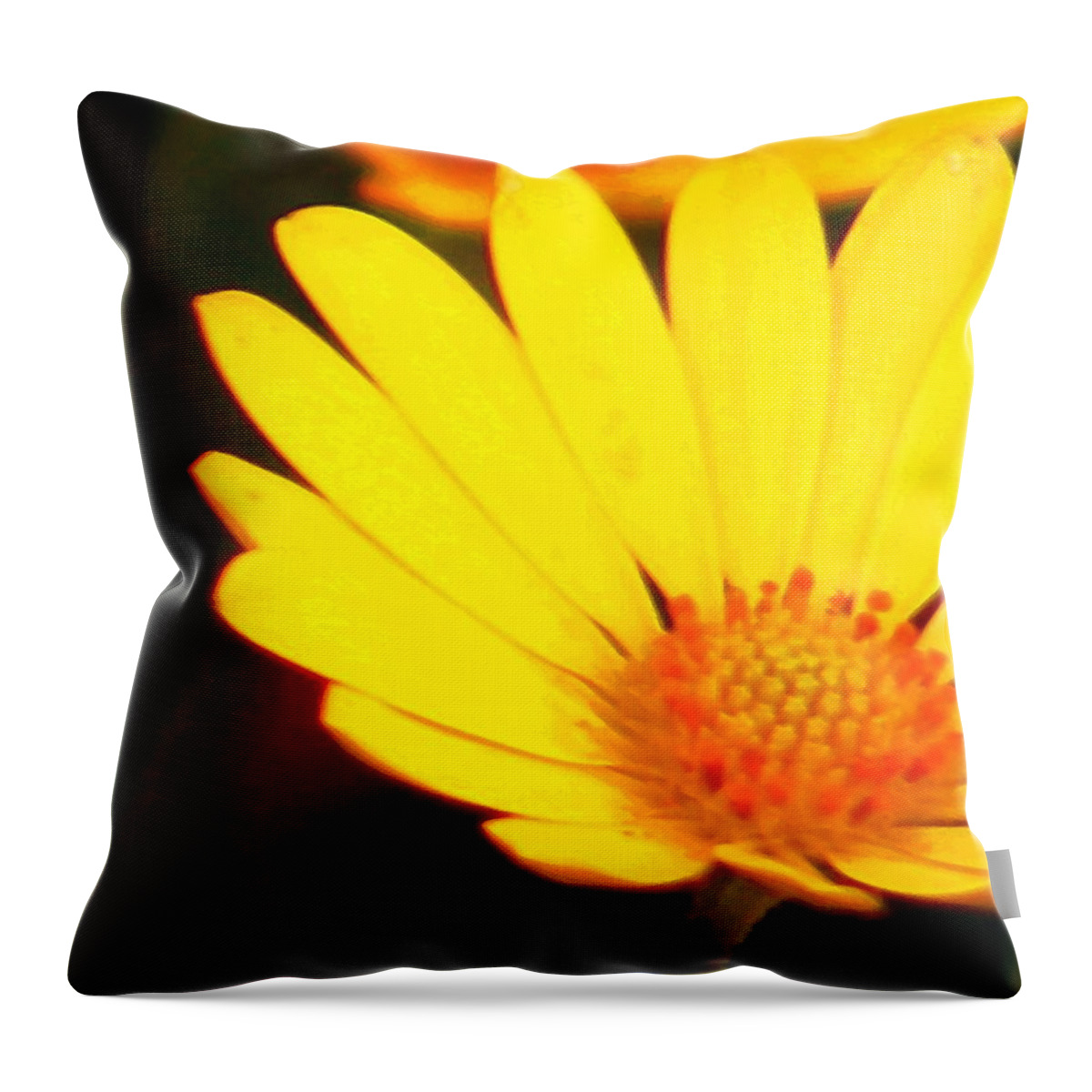 Daisy Throw Pillow featuring the photograph Daisy by Timothy Bulone