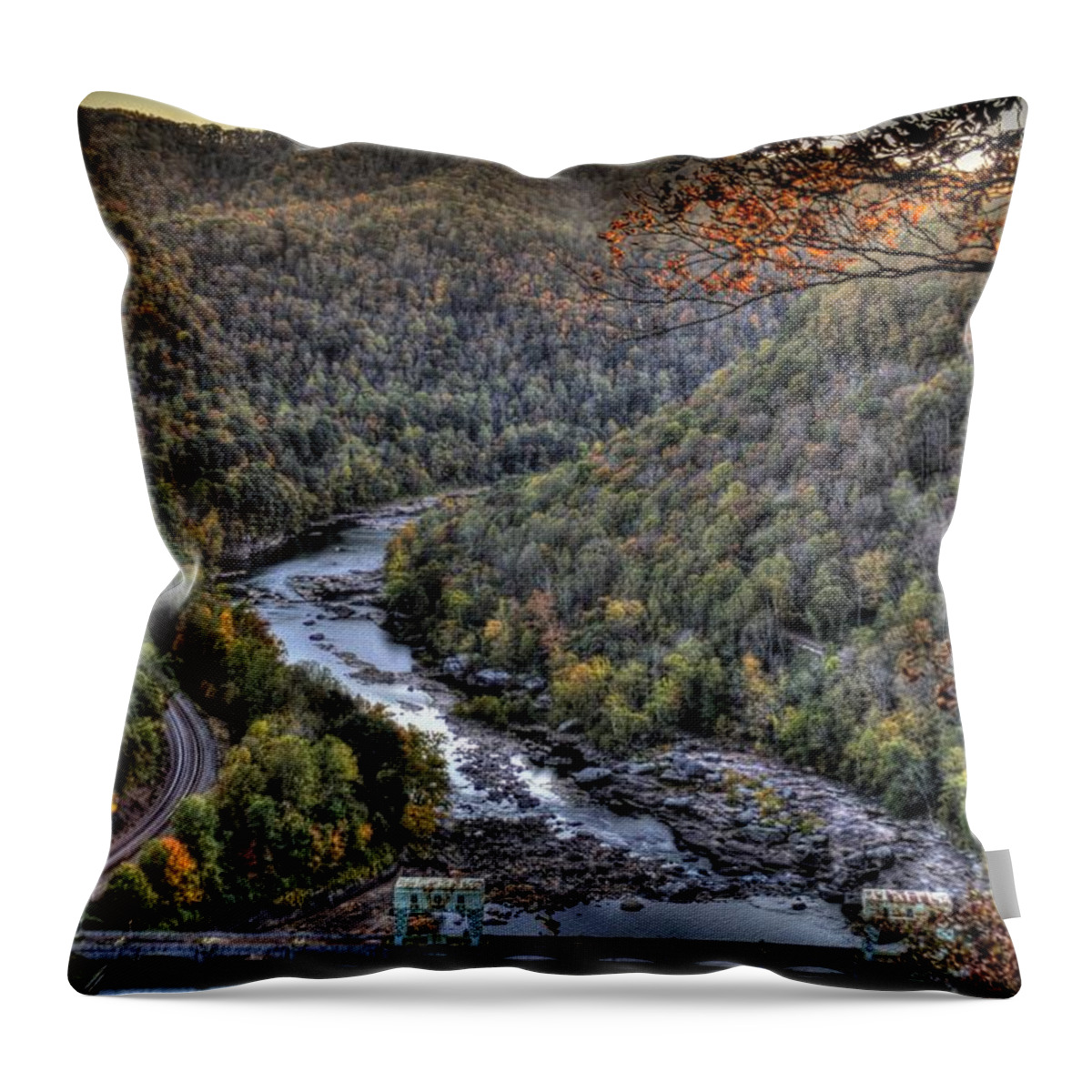 River Throw Pillow featuring the photograph Dam in the Forest by Jonny D