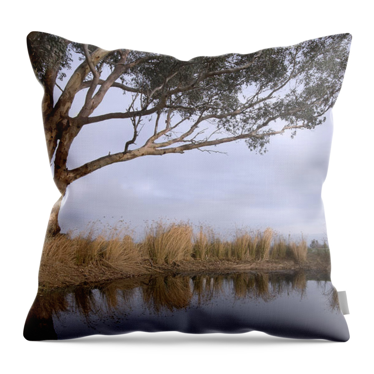 Eucalyptus Throw Pillow featuring the photograph Dam by Linda Lees