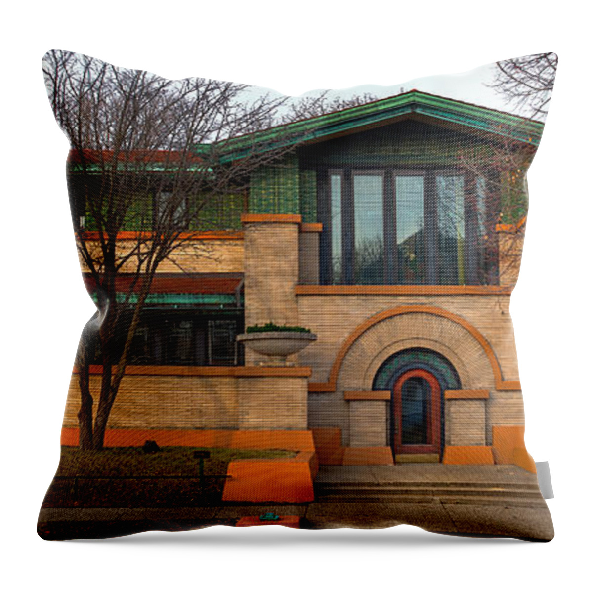 Frank Throw Pillow featuring the photograph Dana Thomas House Springfield I L by Steve Gadomski