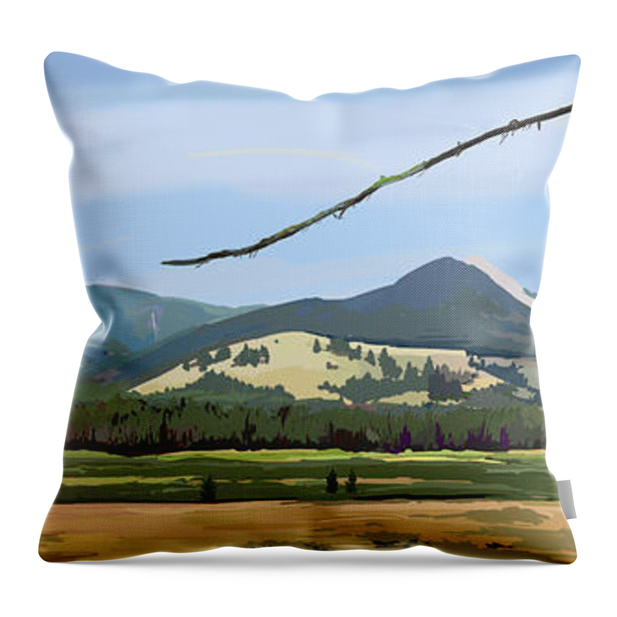 Landscape Throw Pillow featuring the painting Danaher View Panorama by Pam Little