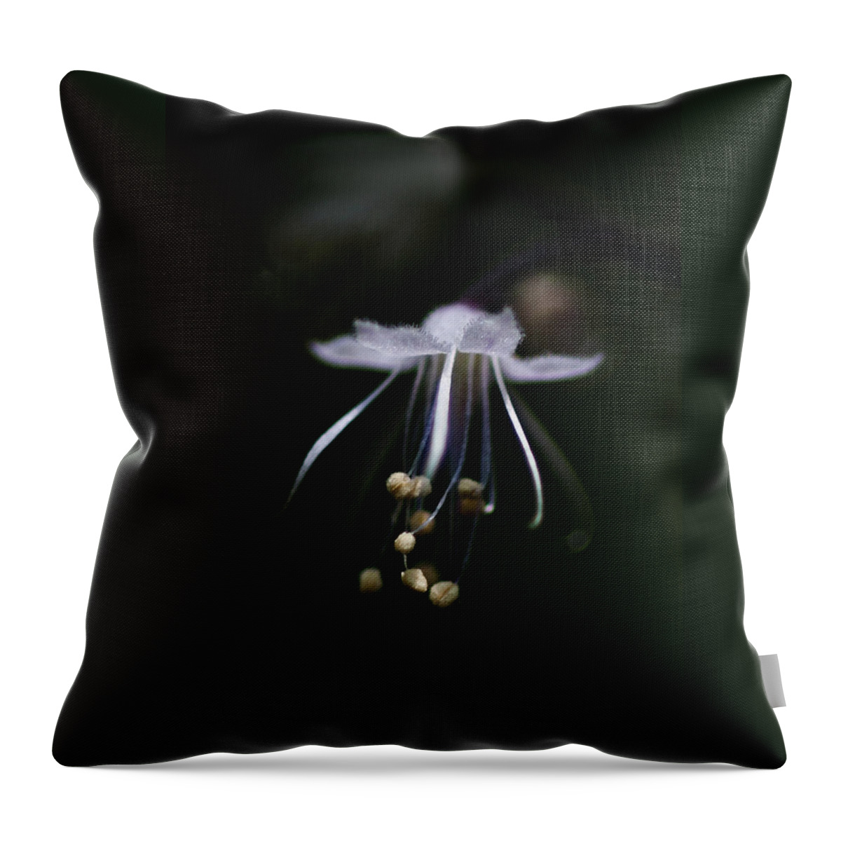 Flower Throw Pillow featuring the photograph Dance in the Forest by Betty Depee