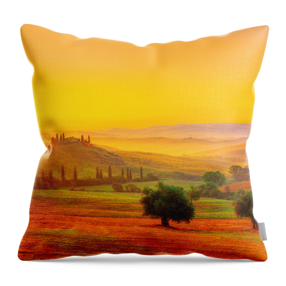 Tuscany Throw Pillow featuring the photograph Dance of Dawn by Midori Chan