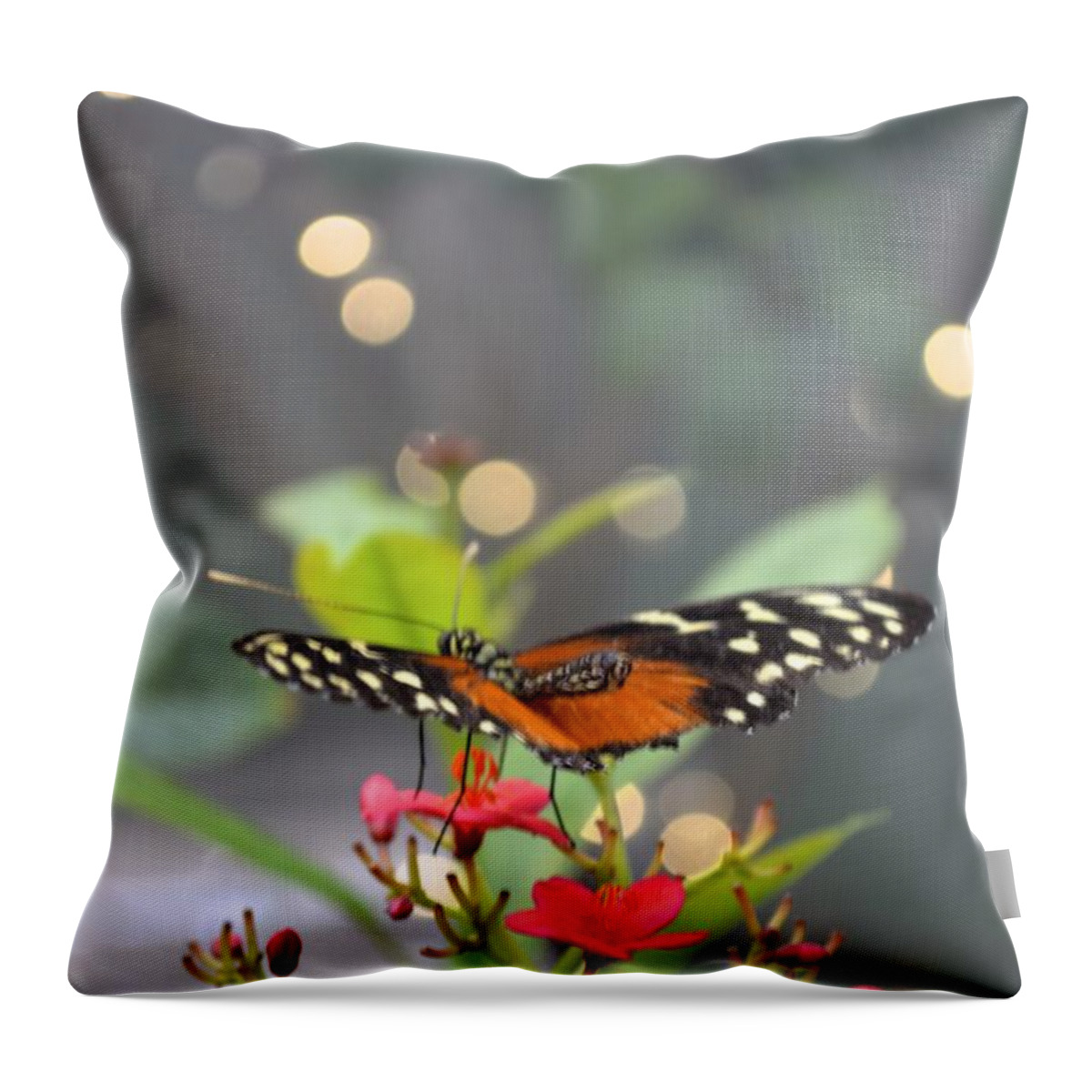 Butterfly Throw Pillow featuring the photograph Dance of the Butterfly by Carla Carson