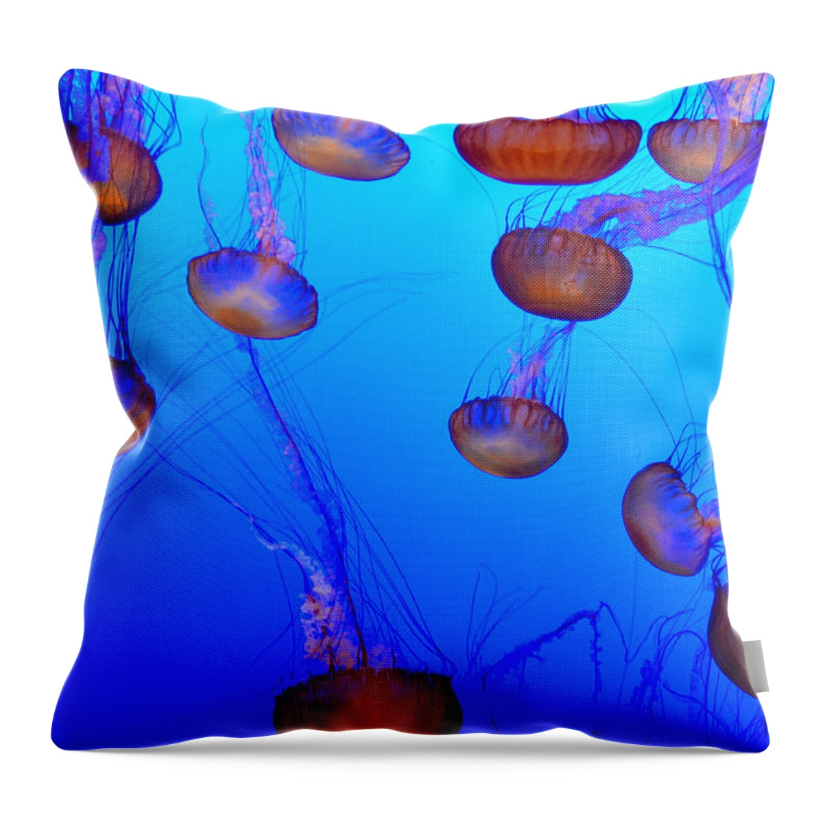 Jellyfish Throw Pillow featuring the photograph Dance of the Jellyfish by Spencer Hughes